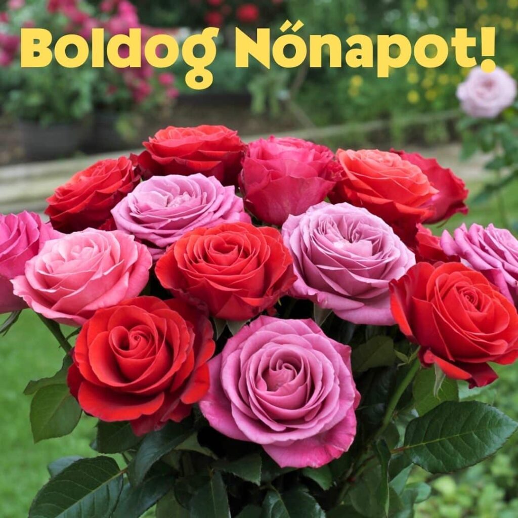 Szép rózsacsokor Boldog Nőnapot felirattal