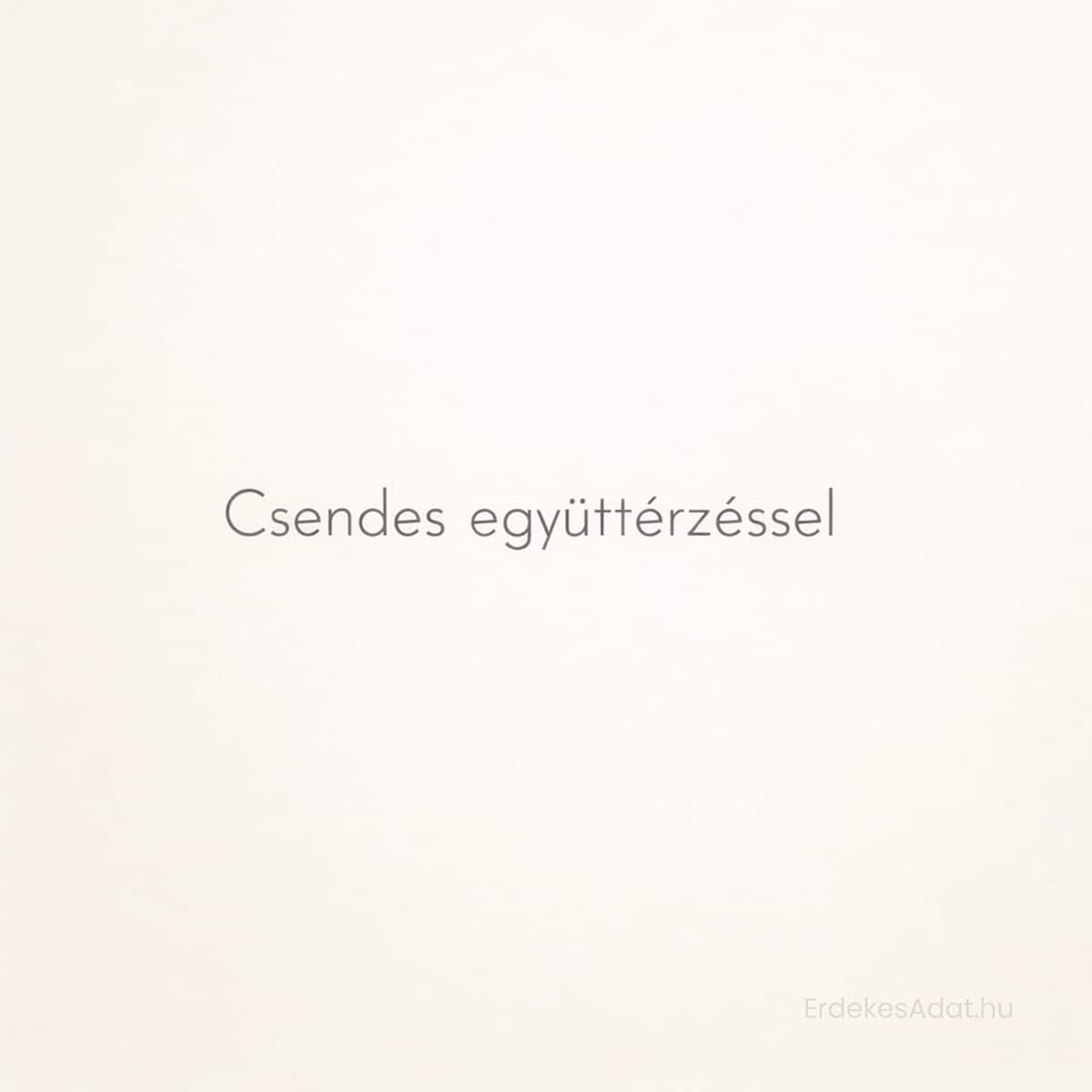 csendes együttérzéssel felirat minimalista világos háttéren