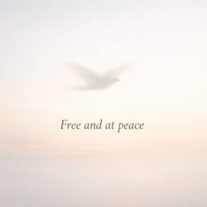 free and at peace sympathy message with soft sky and bird silhouette