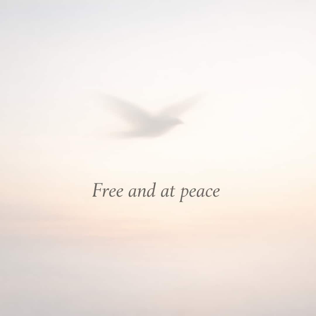 free and at peace sympathy message with soft sky and bird silhouette