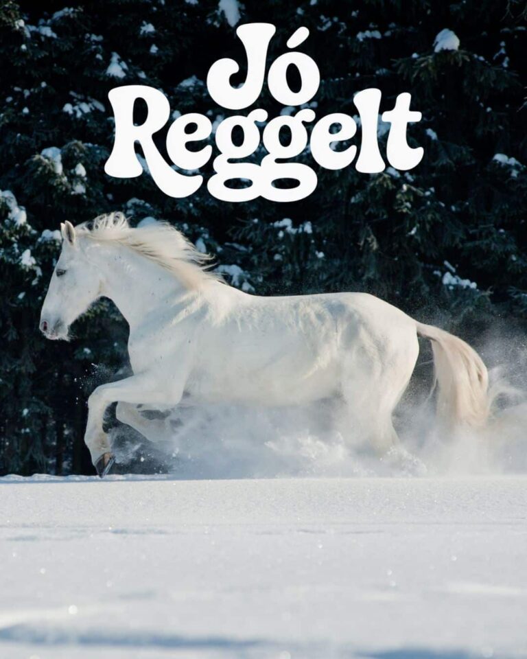 Havas jó reggelt erdei táj télen, fehér ló