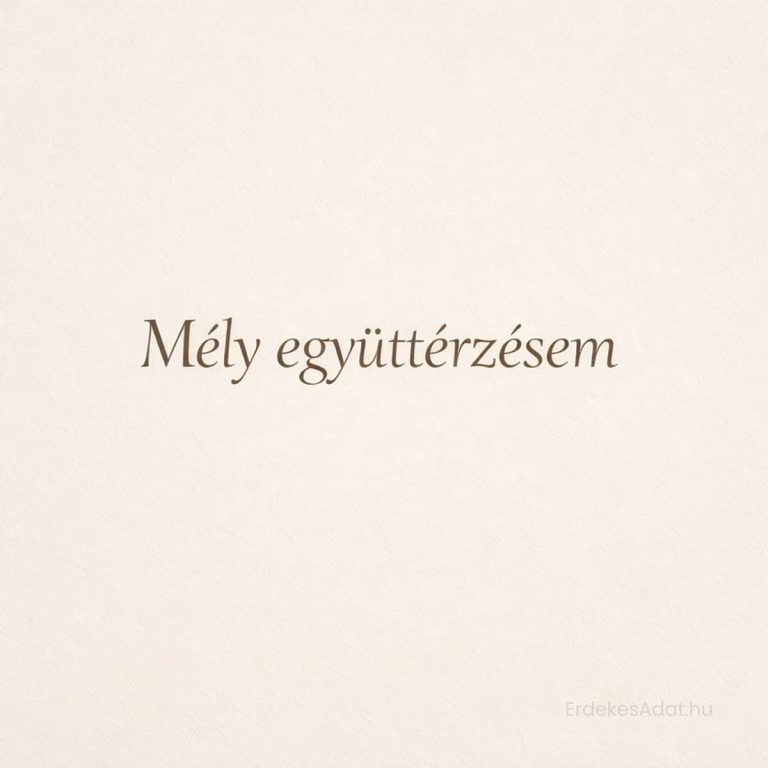 mély együttérzésem felirat minimalista világos háttéren