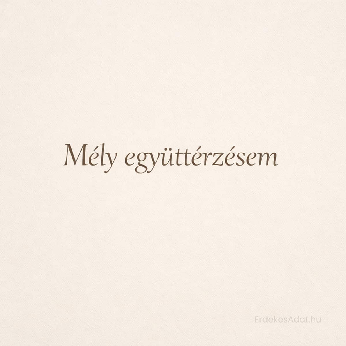 mély együttérzésem felirat minimalista világos háttéren