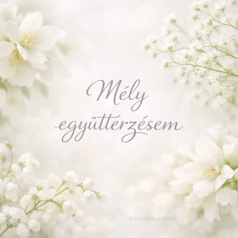 mély együttérzésem felirat fehér virágos háttéren