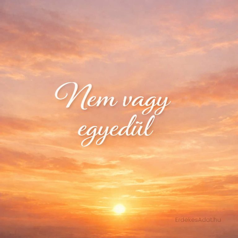 nem vagy egyedül felirat naplemente háttéren