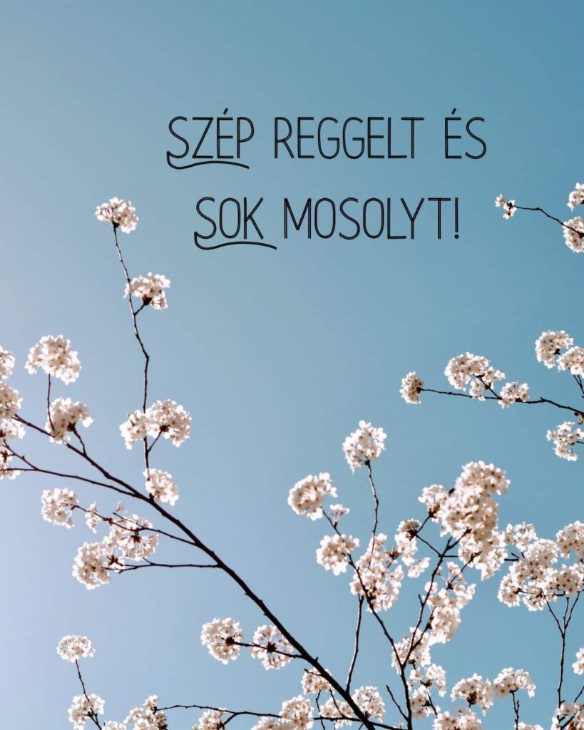 Jó reggelt kép szép reggelt és sok mosolyt felirattal. Kék ék, virágzó fa.