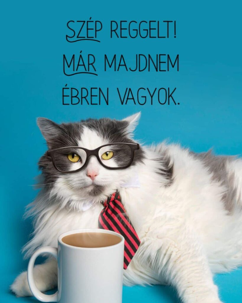 Vicces szép reggelt kép, már majdnem ébren vagyok felirat. Egy szemüveges, csíkos nyakkendős macska fekszik, előtte fehér bögrében gőzölgő kávé.