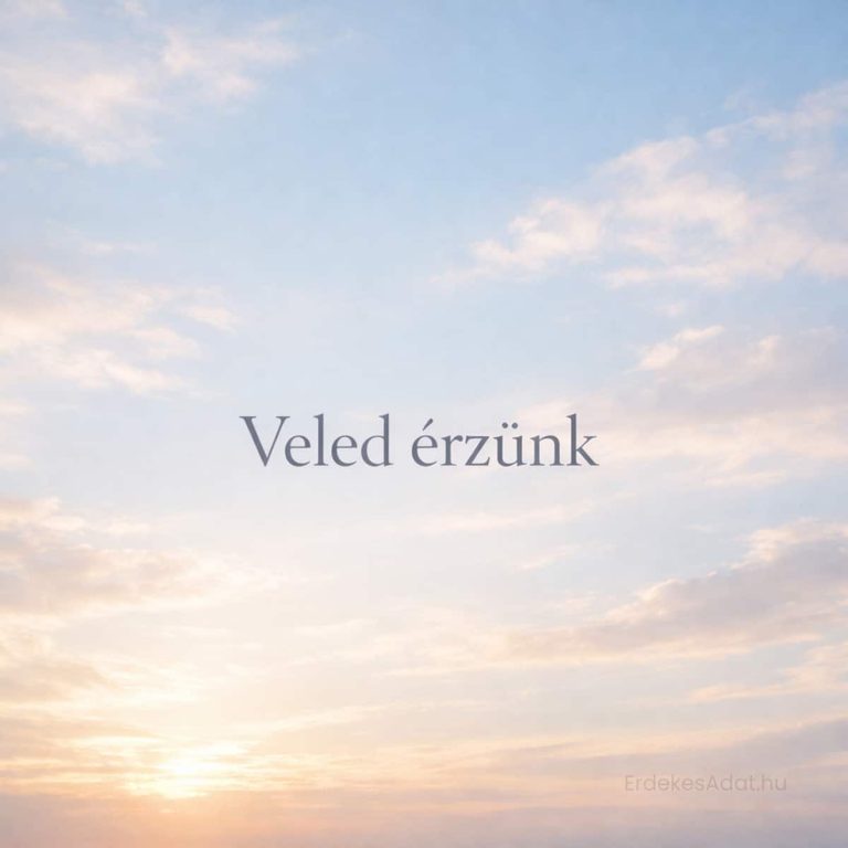 veled érzünk felirat naplemente háttéren